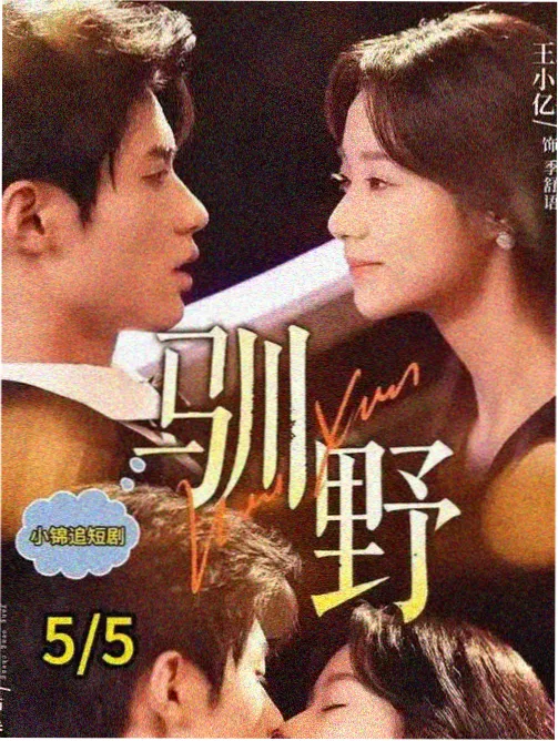 西瓜影音网人文纪实剧古城修复师观看